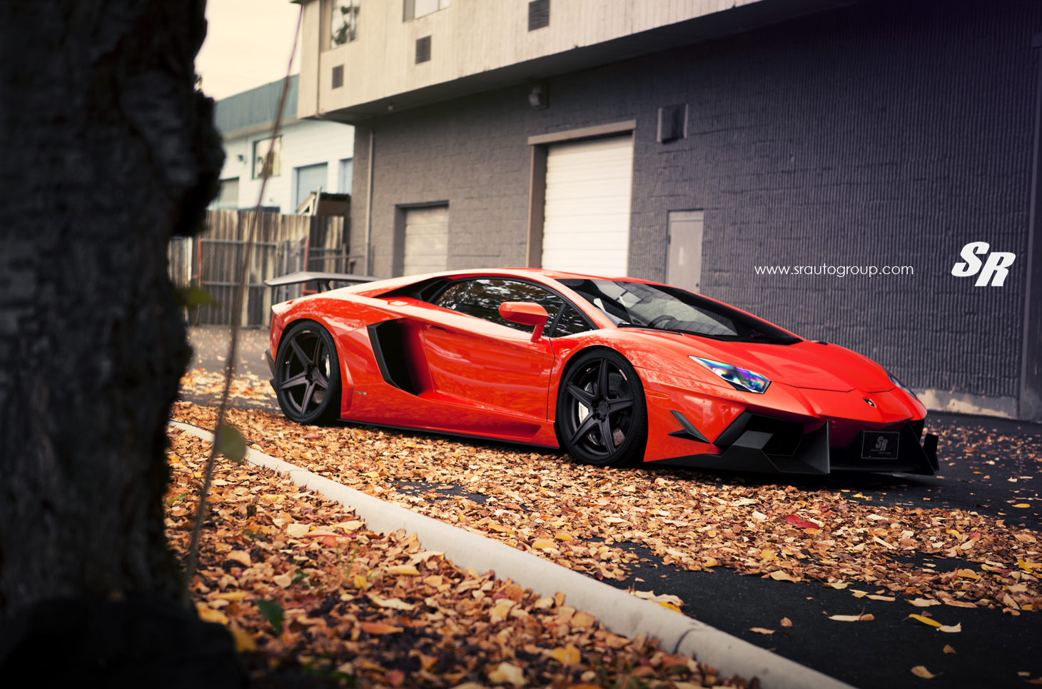 lamborghini aventador dmc LP900 SV lamborghini aventador dmc LP900 SV