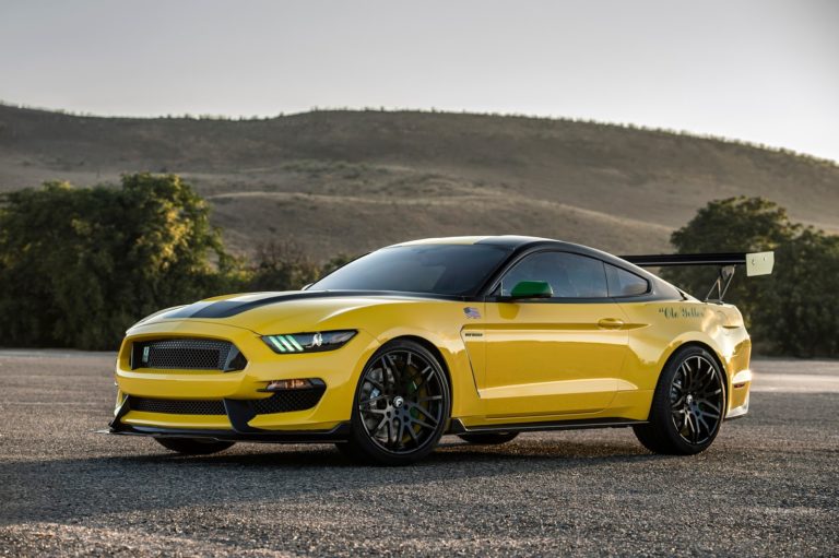 Ford Mustang Shelby GT350 Ole Yeller