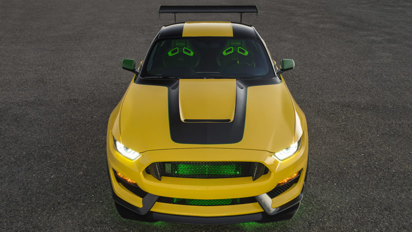 Ford Mustang Shelby GT350 Ole Yeller